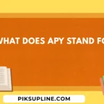 what does apy stand for
